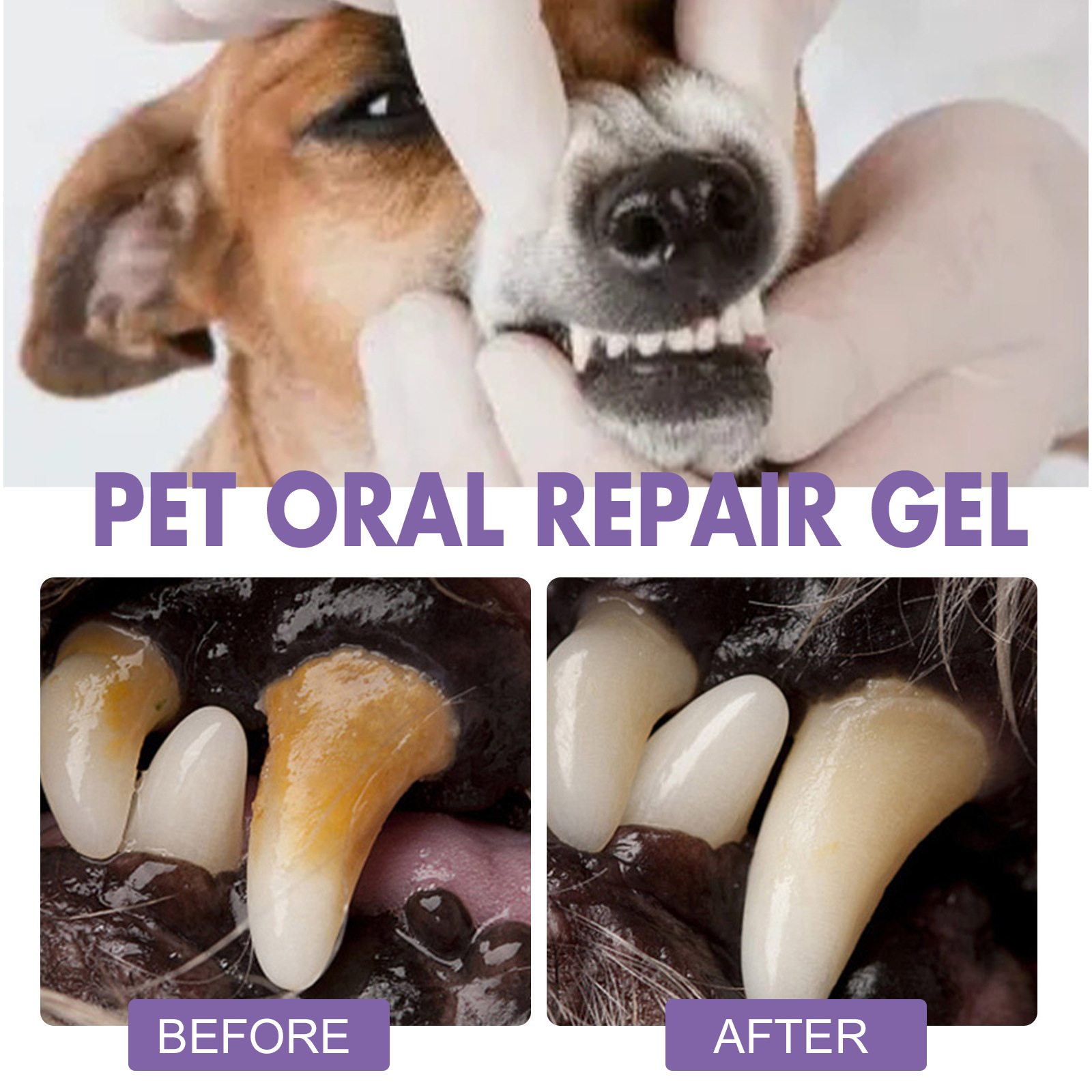 Гель для восстановления полост – обзор и цена Teeth Whitening Procedure